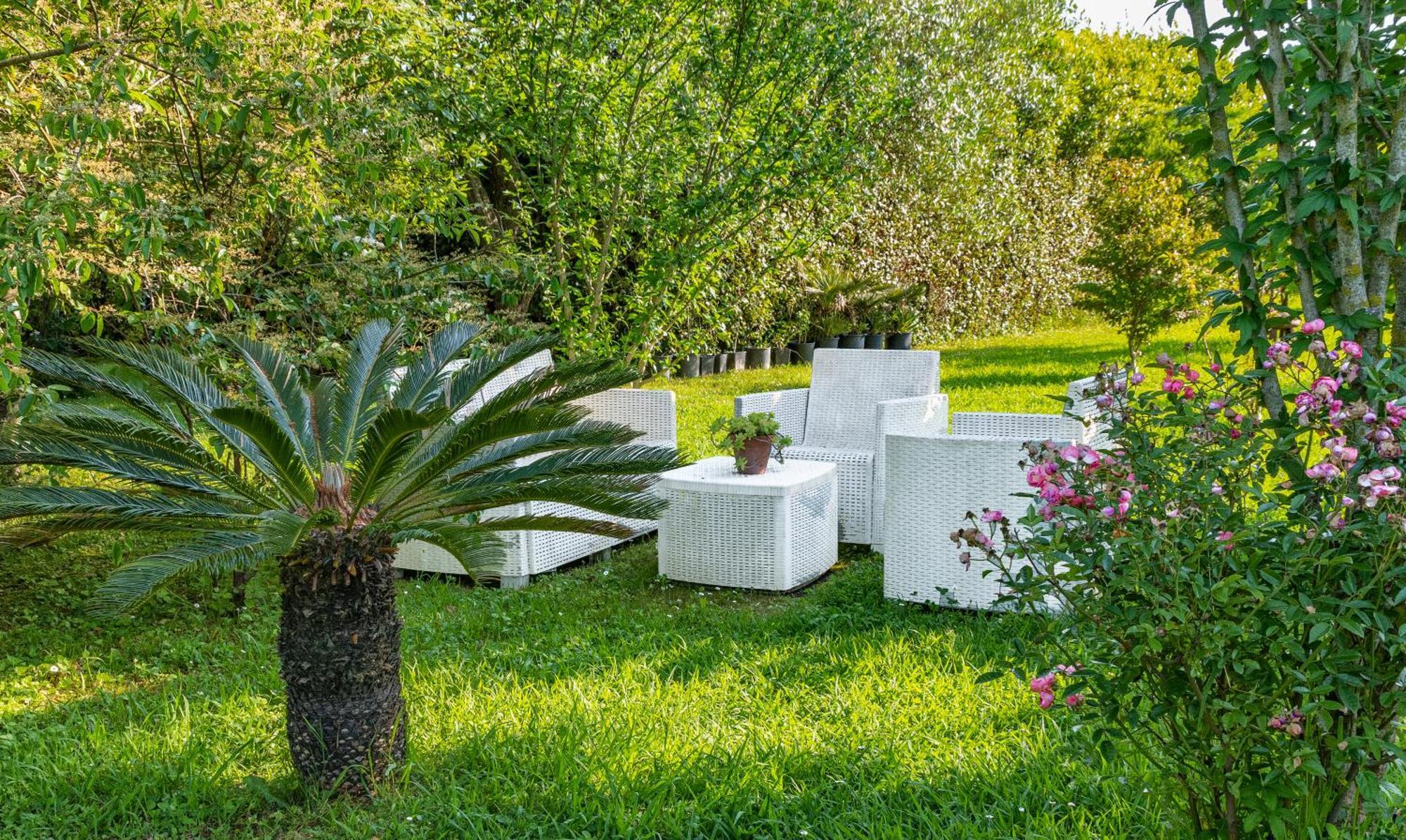 B&B Da Pio Pietrasanta Exterior photo